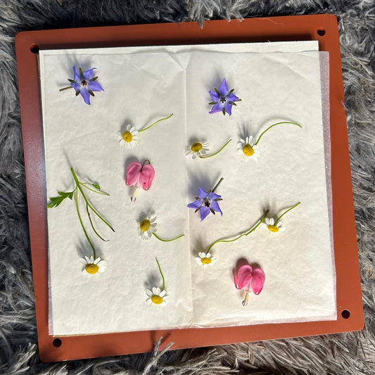 The Gift Bundle