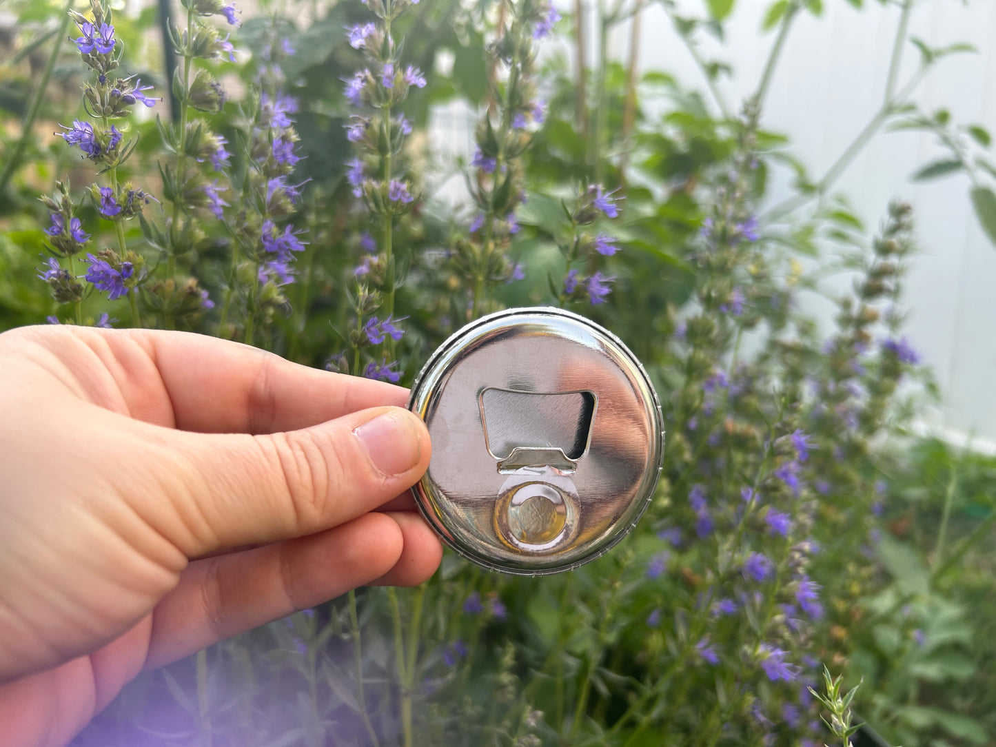 Bottle Opener