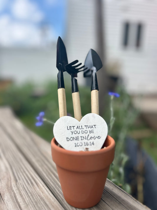 Seed Card Kit